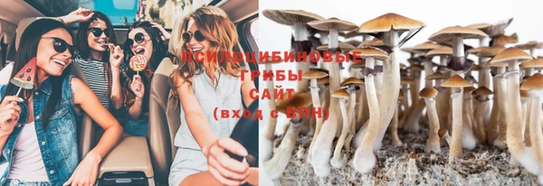 ПСИЛОЦИБИНОВЫЕ ГРИБЫ Абинск
